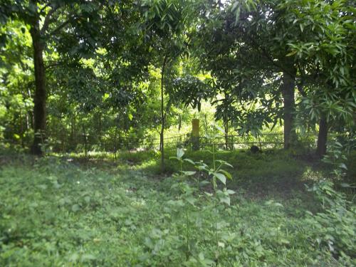 FOR SALE: Lot / Land / Farm Rizal 1