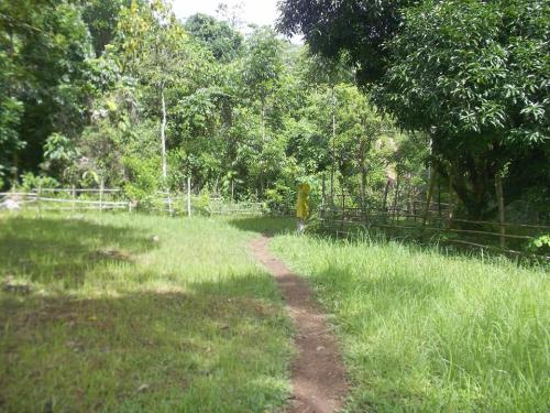 FOR SALE: Lot / Land / Farm Rizal 3