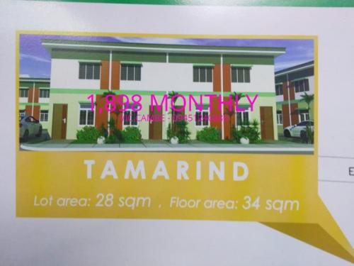 Bulacan Arya Monte Homes Palmera Starmall Murang Pabahay San Jose Vic Cambe