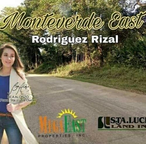 FOR SALE: Lot / Land / Farm Rizal