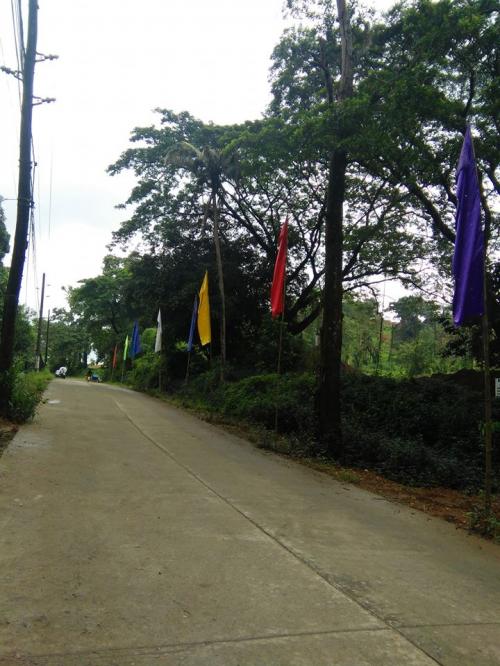 FOR SALE: Lot / Land / Farm Rizal 3