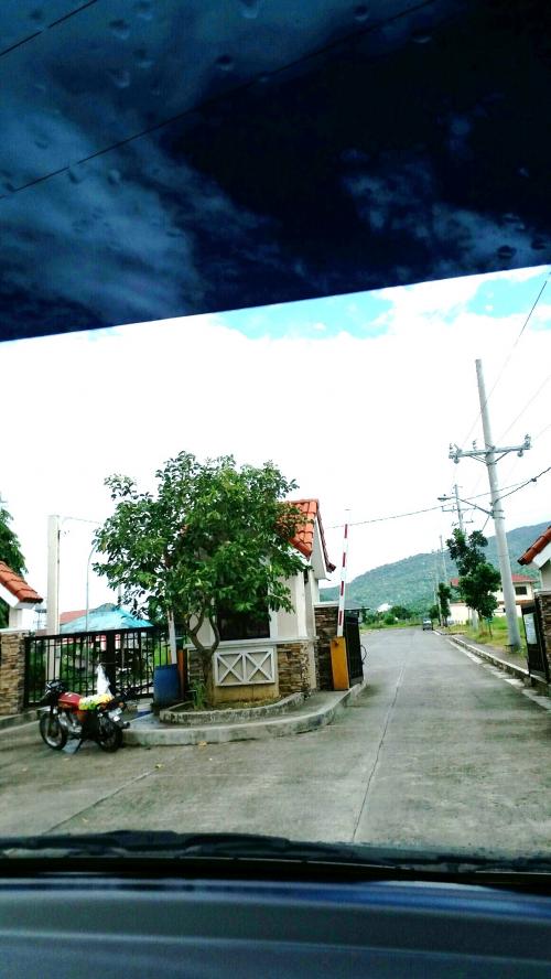 FOR SALE: Lot / Land / Farm Batangas 12