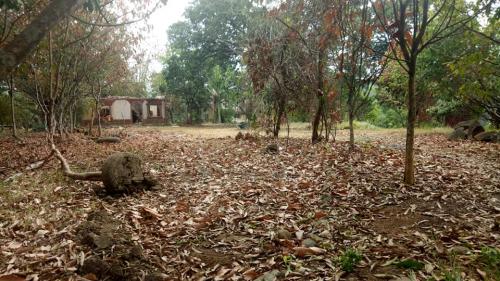 FOR SALE: Lot / Land / Farm Rizal > Antipolo 3