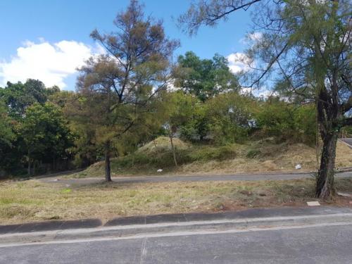 FOR SALE: Lot / Land / Farm Rizal > Antipolo 1