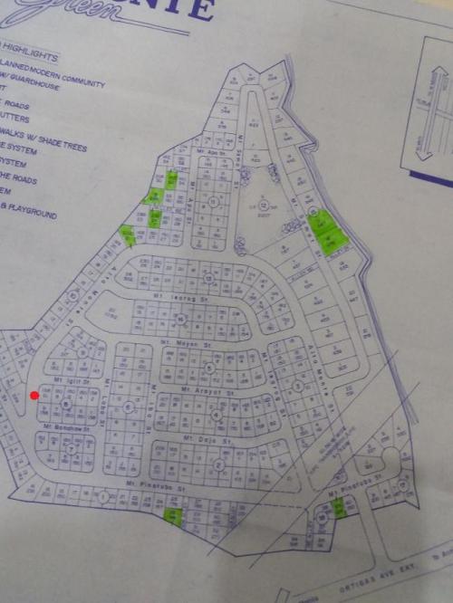 FOR SALE: Lot / Land / Farm Rizal > Antipolo 5