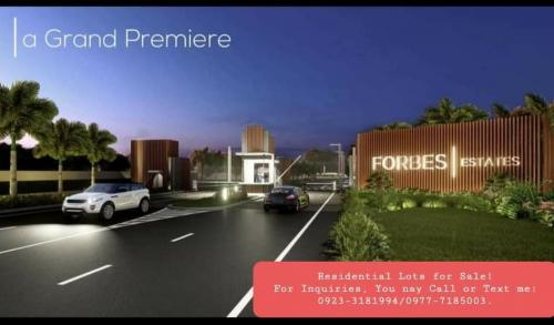 FOR SALE: Lot / Land / Farm Batangas 2