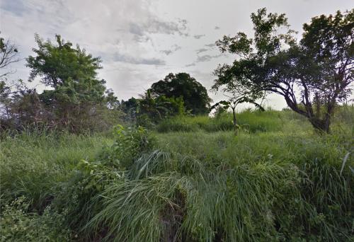 FOR SALE: Lot / Land / Farm Cavite > Dasmarinas 5