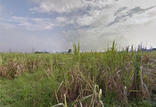 FOR SALE: Lot / Land / Farm Cavite > Dasmarinas 11