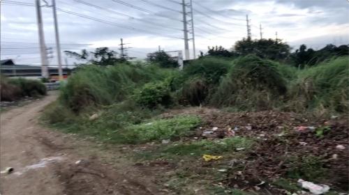 FOR SALE: Lot / Land / Farm Cavite > Dasmarinas 3