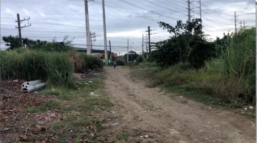 FOR SALE: Lot / Land / Farm Cavite > Dasmarinas 4