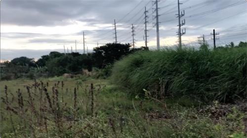 FOR SALE: Lot / Land / Farm Cavite > Dasmarinas 8