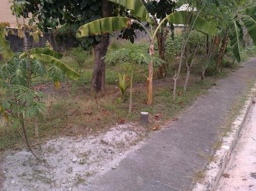 FOR SALE: Lot / Land / Farm Manila Metropolitan Area > Quezon 4