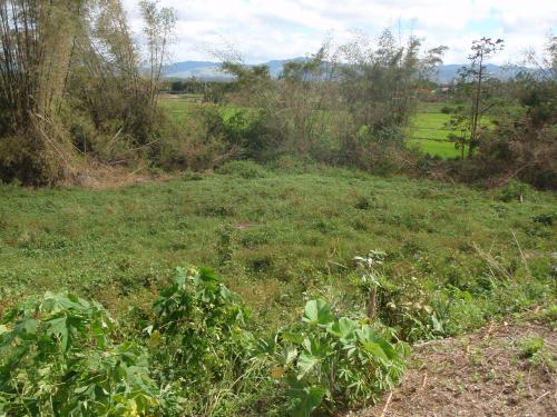 FOR SALE: Lot / Land / Farm Bulacan 4