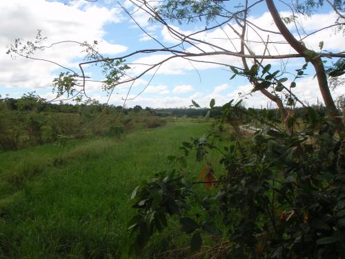 FOR SALE: Lot / Land / Farm Bulacan 9