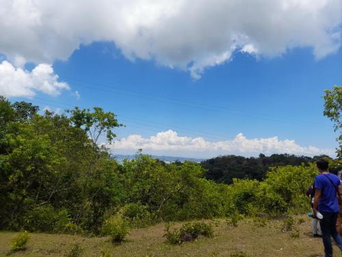 FOR SALE: Lot / Land / Farm Rizal 9