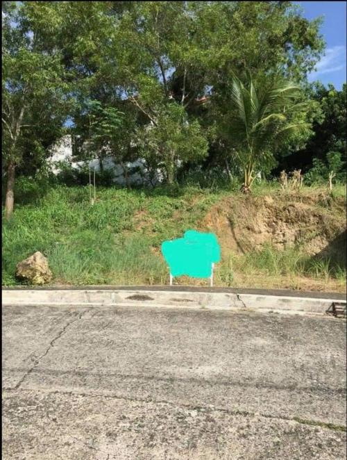 FOR SALE: Lot / Land / Farm Cebu > Other areas 1