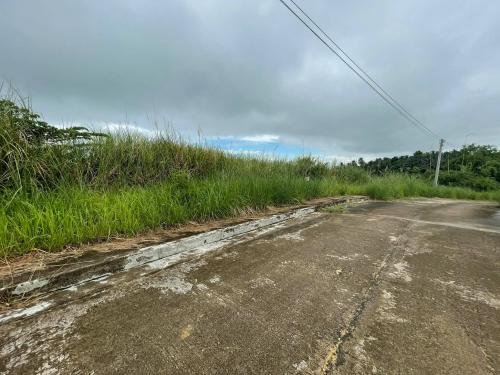 FOR SALE: Lot / Land / Farm Cebu > Other areas 1