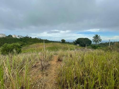 FOR SALE: Lot / Land / Farm Cebu > Other areas 3