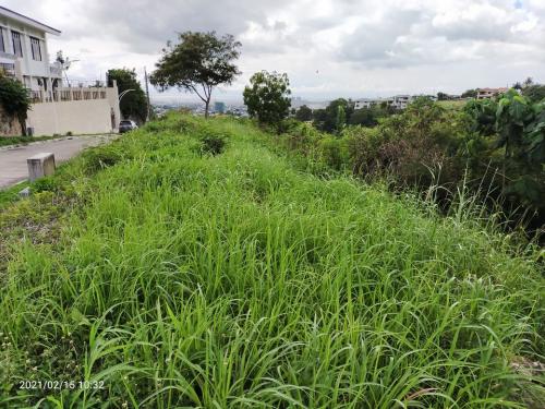 FOR SALE: Lot / Land / Farm Cebu > Cebu City