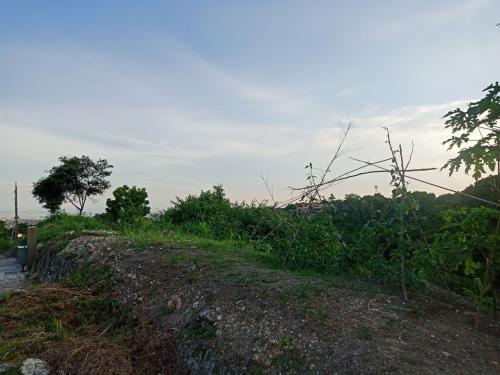 FOR SALE: Lot / Land / Farm Cebu > Cebu City 4