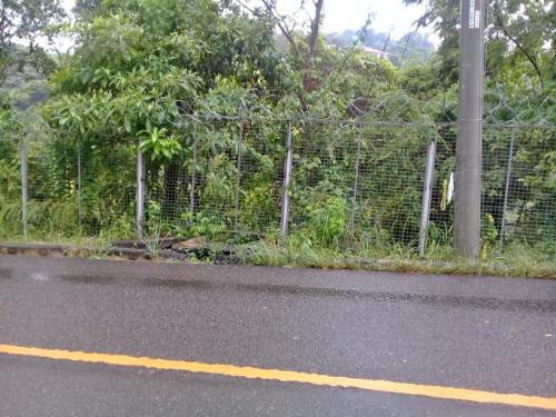 FOR SALE: Lot / Land / Farm Cebu > Cebu City