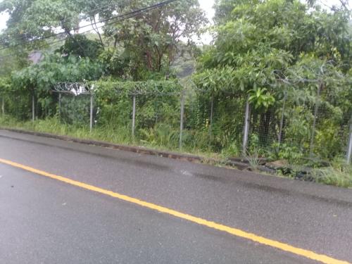 FOR SALE: Lot / Land / Farm Cebu > Cebu City 1