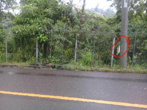 FOR SALE: Lot / Land / Farm Cebu > Cebu City 2