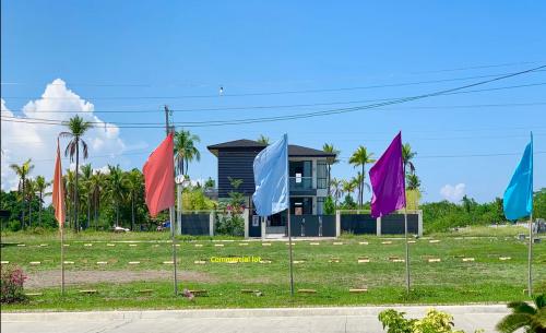 FOR SALE: Lot / Land / Farm Batangas > Other areas 6