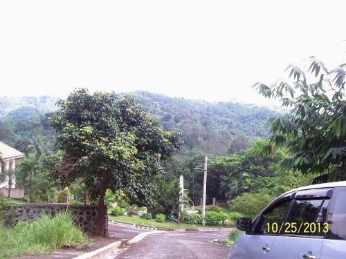 FOR SALE: Lot / Land / Farm Rizal > Antipolo 1