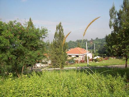 FOR SALE: Lot / Land / Farm Rizal > Antipolo 4