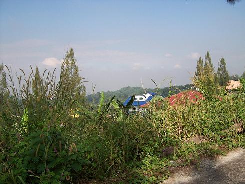 FOR SALE: Lot / Land / Farm Rizal > Antipolo 10