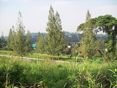 FOR SALE: Lot / Land / Farm Rizal > Antipolo 11
