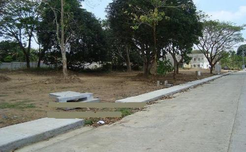 FOR SALE: Lot / Land / Farm Cavite 2