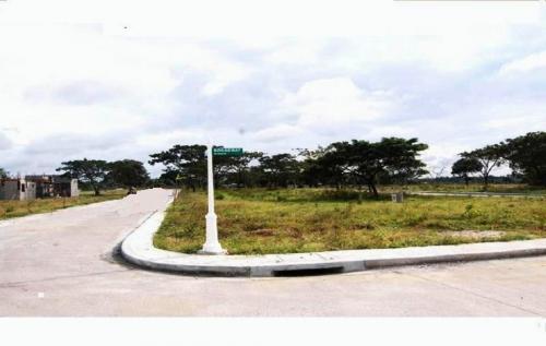 FOR SALE: Lot / Land / Farm Cavite 5