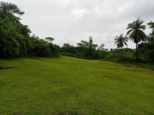 FOR SALE: Lot / Land / Farm Batangas