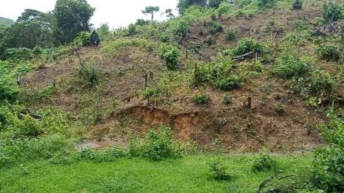 FOR SALE: Lot / Land / Farm Batangas 3