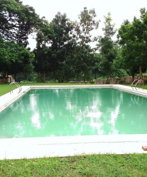 FOR SALE: Lot / Land / Farm Rizal 5