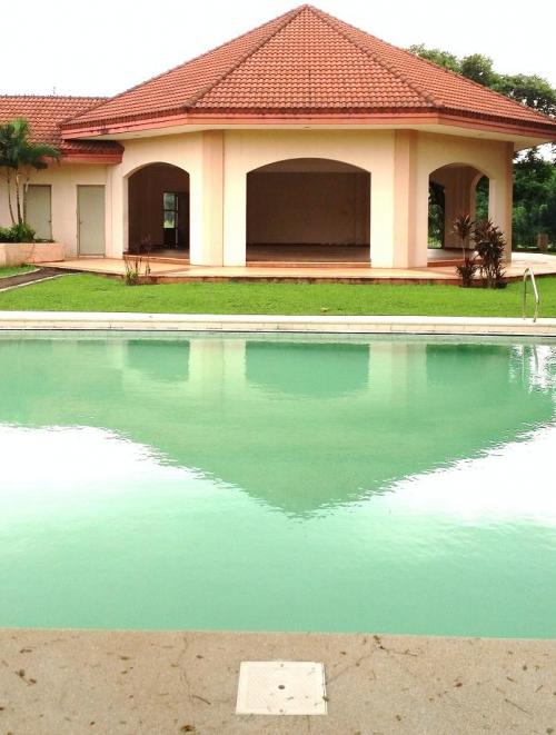 FOR SALE: Lot / Land / Farm Rizal 6