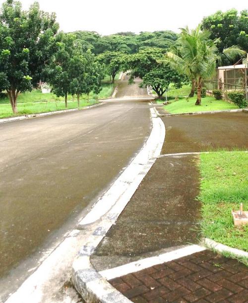 FOR SALE: Lot / Land / Farm Rizal 10