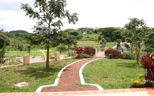 FOR SALE: Lot / Land / Farm Rizal 12
