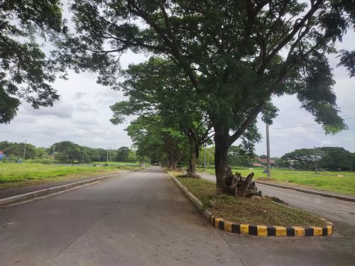 FOR SALE: Lot / Land / Farm Cavite 1