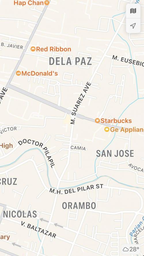 FOR SALE: Lot / Land / Farm Manila Metropolitan Area > Pasig