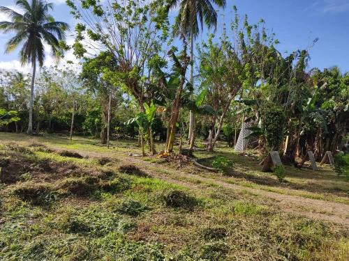 FOR SALE: Lot / Land / Farm Cavite 2