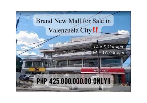 FOR SALE: Lot / Land / Farm Manila Metropolitan Area > Valenzuela