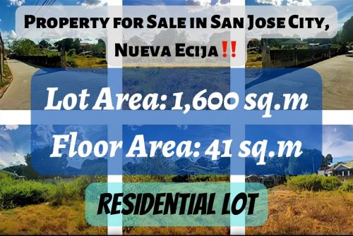 FOR SALE: Lot / Land / Farm Nueva Ecija > Other areas