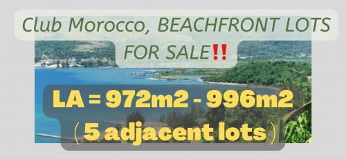 FOR SALE: Lot / Land / Farm Zambales