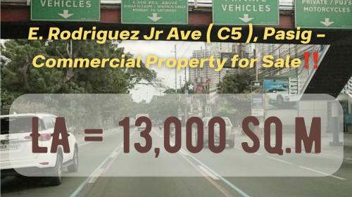 FOR SALE: Office / Commercial / Industrial Manila Metropolitan Area > Pasig