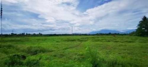 FOR SALE: Lot / Land / Farm Laguna > Other areas 3