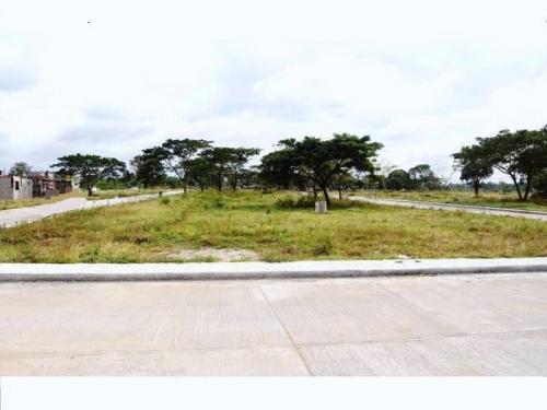 FOR SALE: Lot / Land / Farm Cavite 4