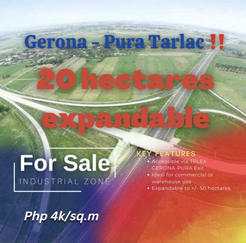 FOR SALE: Lot / Land / Farm Tarlac